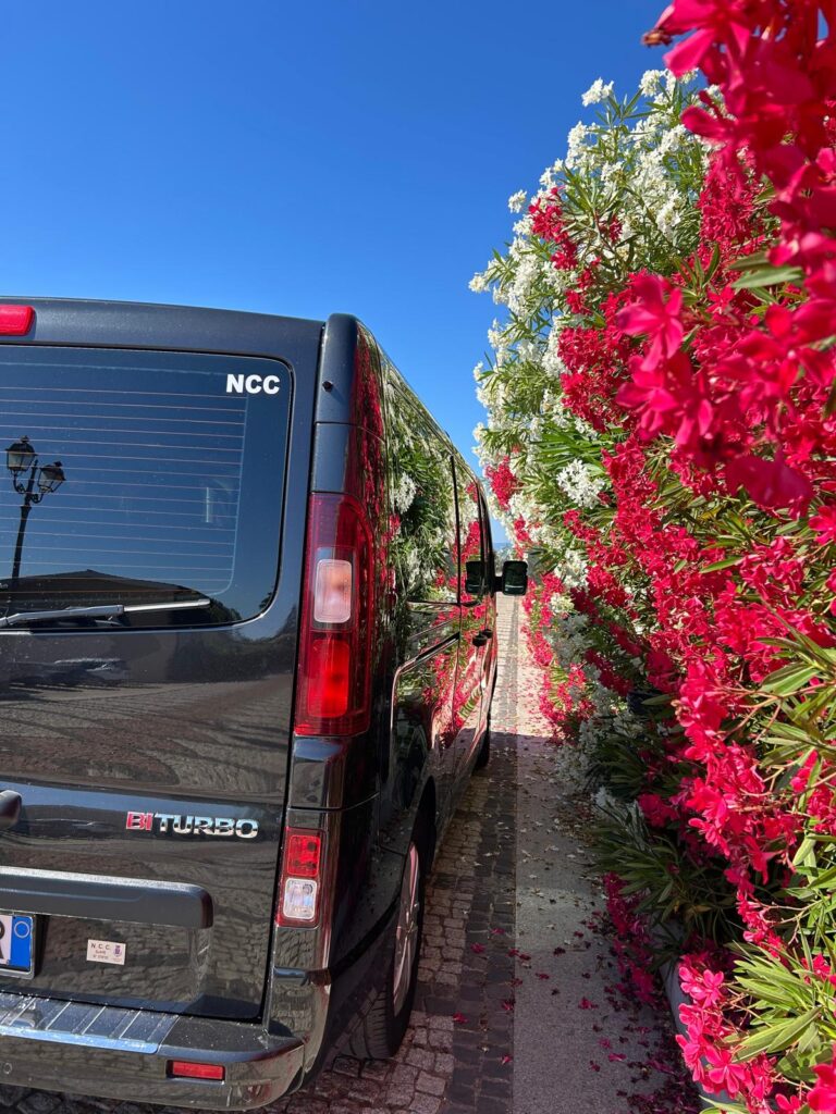 transfer privato Tirreno Resort